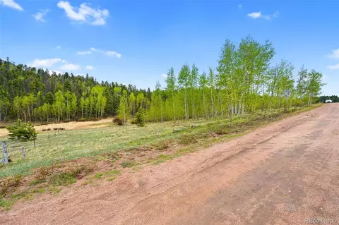 522 Hidden Valley Dr, Lake George, CO 80827