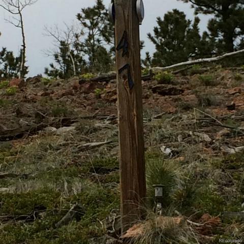 362 Jones Rd, Bailey, CO 80421 photo 7