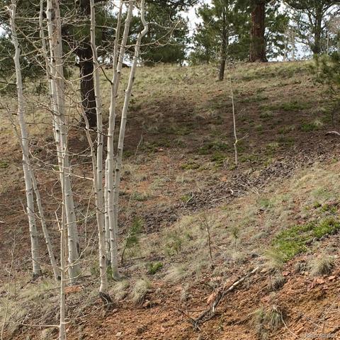 362 Jones Rd, Bailey, CO 80421 photo 5