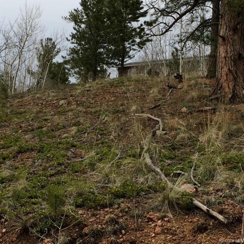 362 Jones Rd, Bailey, CO 80421 photo 3