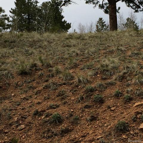 362 Jones Rd, Bailey, CO 80421 photo 6
