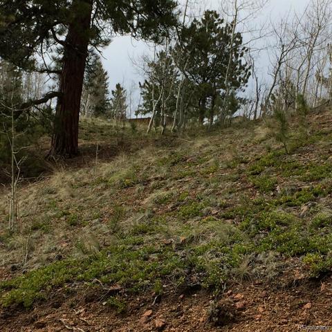 362 Jones Rd, Bailey, CO 80421 photo 4