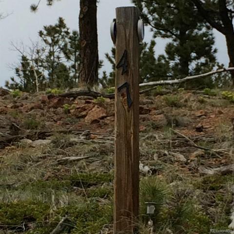 362 Jones Rd, Bailey, CO 80421 photo 8