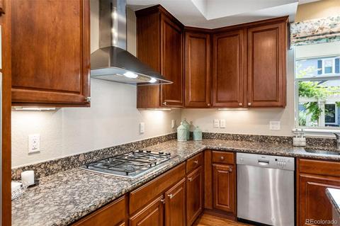 9085 E 29th Pl, Denver, CO 80238 photo 8