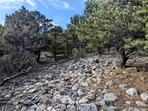 Lot 7 Nn 19th Street, Blanca, CO 81123