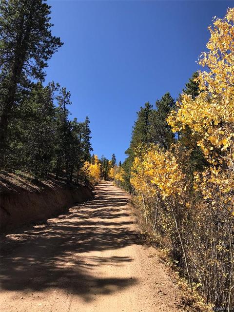1 Road P62, Bailey, CO 80421 photo 36