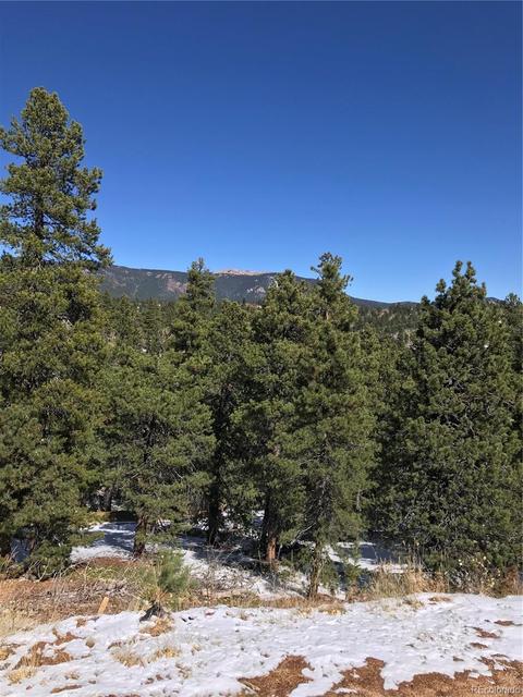 1 Road P62, Bailey, CO 80421 photo 33