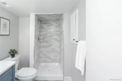 Bath - 8765 Carr Loop, Arvada, CO 80005 photo 10 of 11