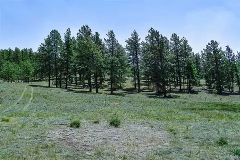 000 6th St, Guffey, CO 80820