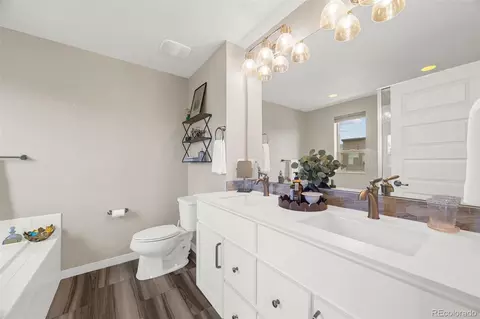 Bath - 9045 E 49th Pl, Denver, CO 80238 photo 3 of 4