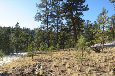 148 Burton St, Bailey, CO 80421 photo 6