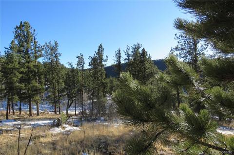 148 Burton St, Bailey, CO 80421 photo 7