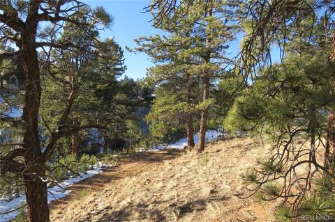 148 Burton St, Bailey, CO 80421 photo 12