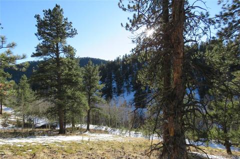 148 Burton St, Bailey, CO 80421 photo 11