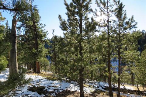148 Burton St, Bailey, CO 80421 photo 5