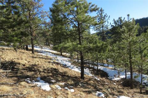 148 Burton St, Bailey, CO 80421 photo 3