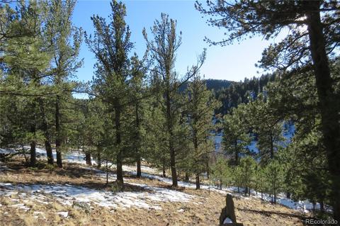 148 Burton St, Bailey, CO 80421 photo 1