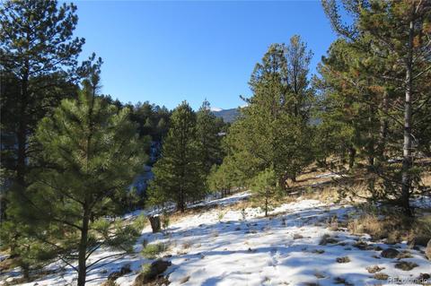 148 Burton St, Bailey, CO 80421 photo 10