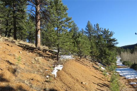 148 Burton St, Bailey, CO 80421 photo 2