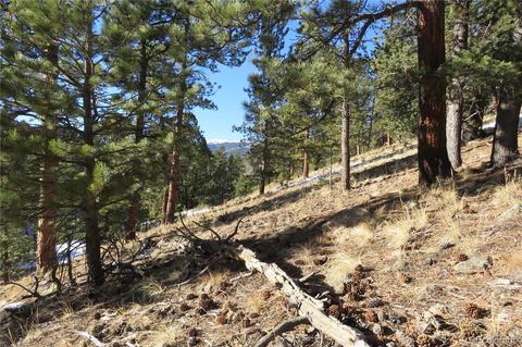 148 Burton St, Bailey, CO 80421 photo 4