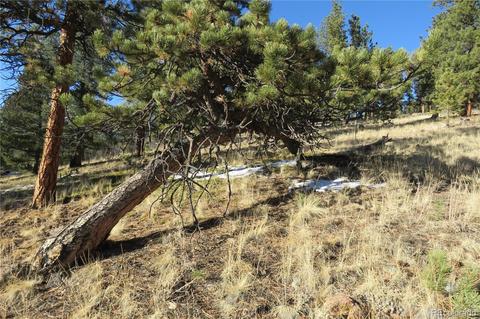 148 Burton St, Bailey, CO 80421 photo 9