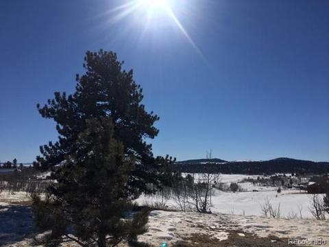 173 Buckskin Way, Como, CO 80432 photo 23