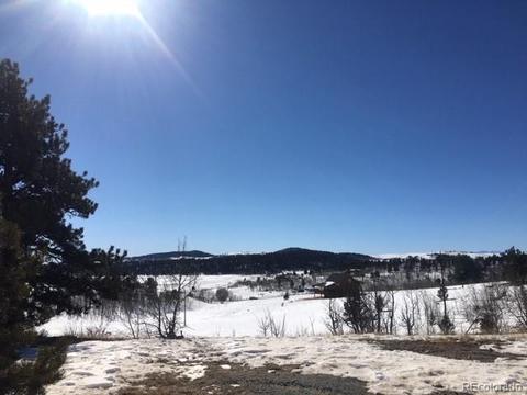 173 Buckskin Way, Como, CO 80432 photo 8