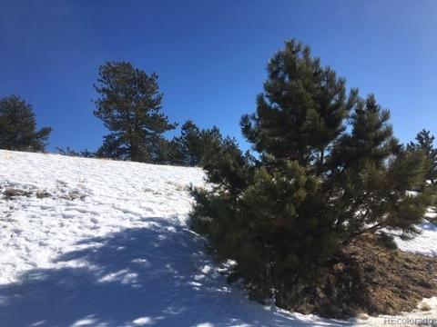 173 Buckskin Way, Como, CO 80432 photo 16