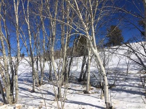 173 Buckskin Way, Como, CO 80432 photo 5