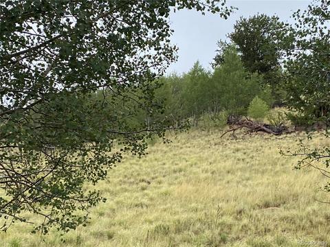 173 Buckskin Way, Como, CO 80432 photo 10