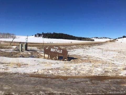 173 Buckskin Way, Como, CO 80432 photo 7