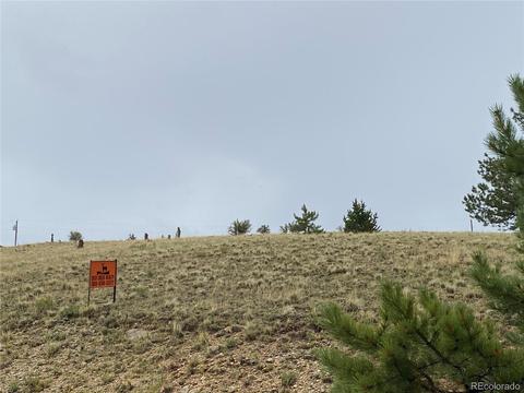 173 Buckskin Way, Como, CO 80432 photo 3