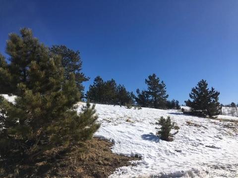 173 Buckskin Way, Como, CO 80432 photo 15