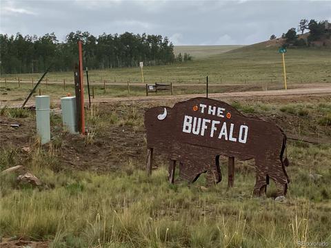 173 Buckskin Way, Como, CO 80432 photo 4