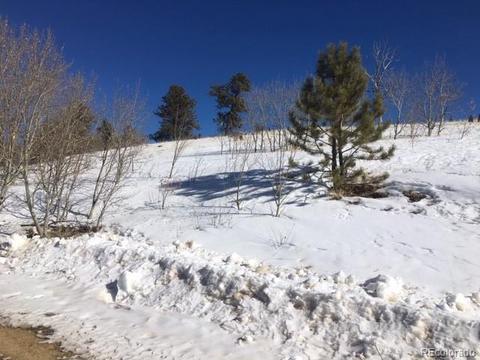 173 Buckskin Way, Como, CO 80432 photo 17