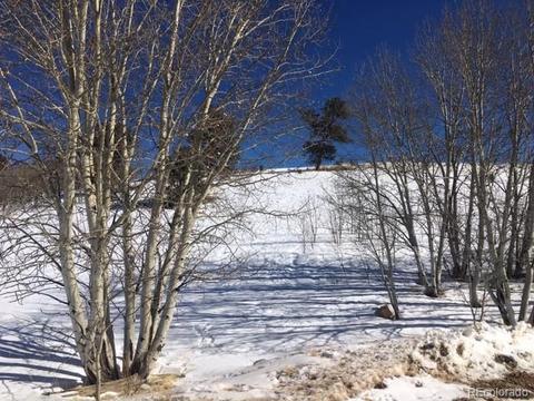 173 Buckskin Way, Como, CO 80432 photo 20
