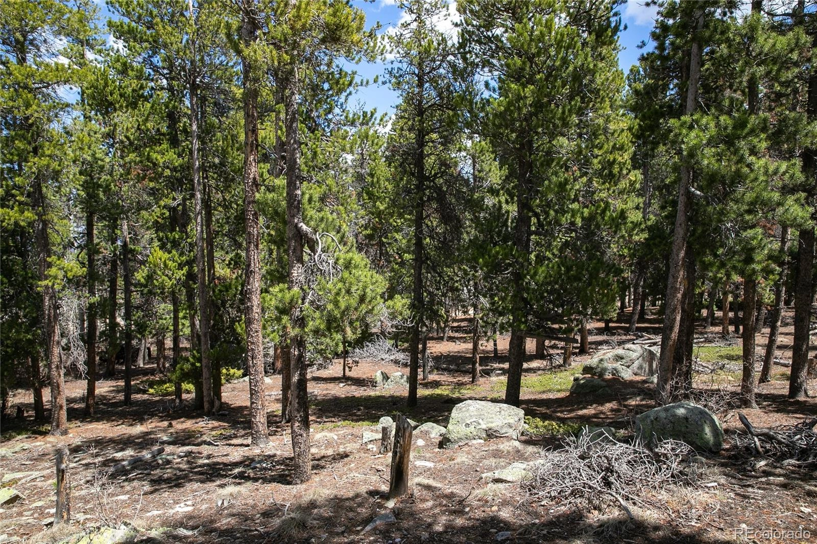 17 Ronnie Rd Unit -B