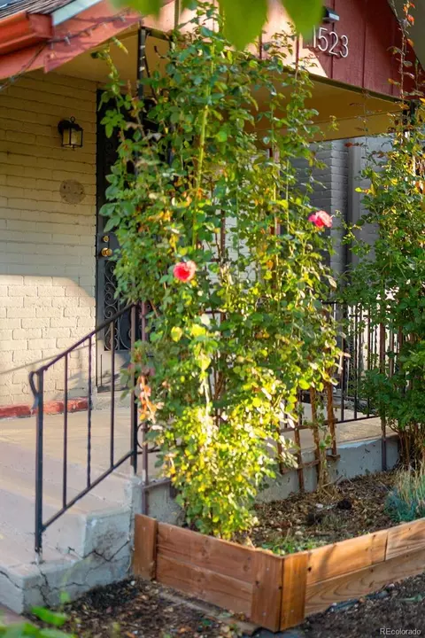 1523 E 30th Ave, Denver, CO 80205 photo 3