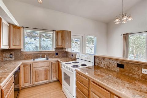 15549 Ouray Rd, Pine, CO 80470 photo 8