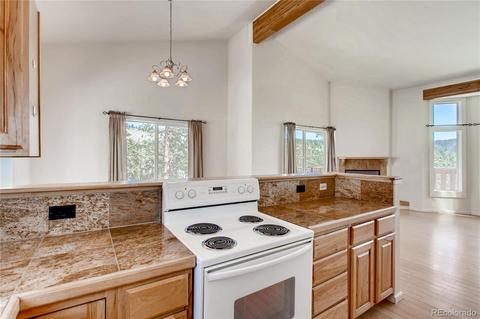 15549 Ouray Rd, Pine, CO 80470 photo 9