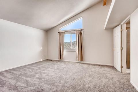15549 Ouray Rd, Pine, CO 80470 photo 11