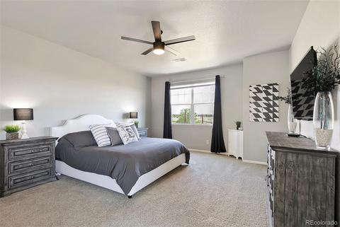 7159 E 123rd Pl, Thornton, CO 80602 photo 22