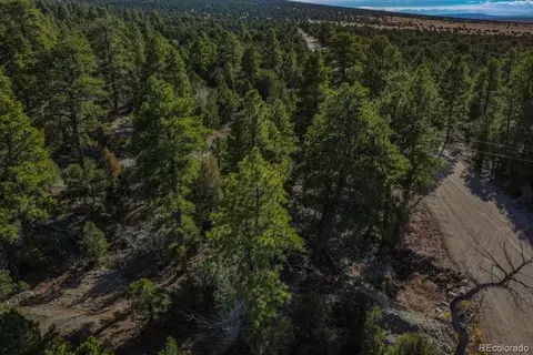 0 Mill Run Rd, Mosca, CO 81146 photo 6