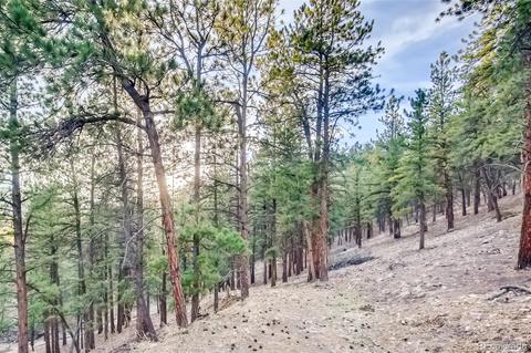31363 Evans View Ln, Pine, CO 80470 photo 32