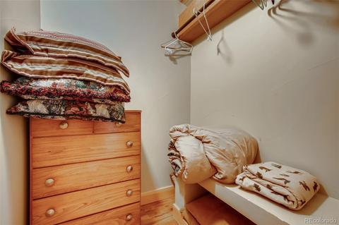 31363 Evans View Ln, Pine, CO 80470 photo 26