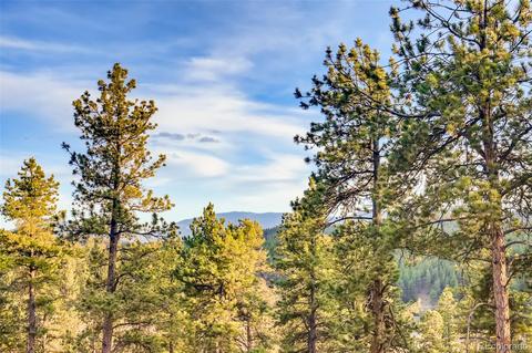 31363 Evans View Ln, Pine, CO 80470 photo 31