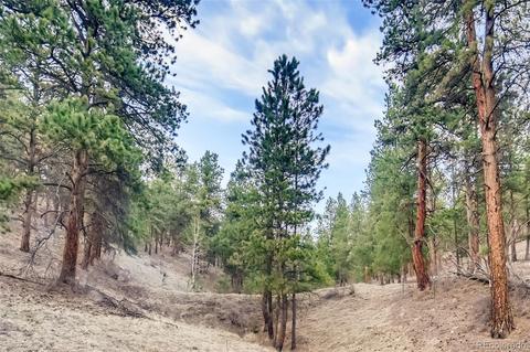 31363 Evans View Ln, Pine, CO 80470 photo 33