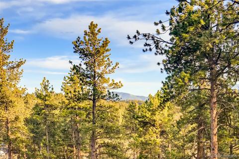 31363 Evans View Ln, Pine, CO 80470 photo 30