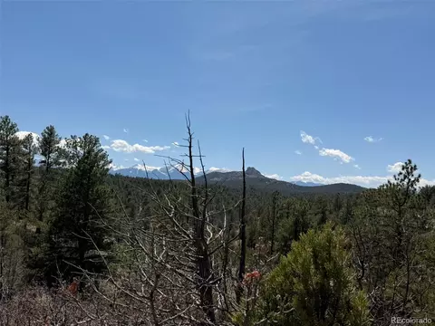 176 Arnold Dr, Cotopaxi, CO 81223