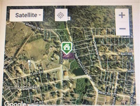 2248 Shelton Dr, Bailey, CO 80421 photo 2